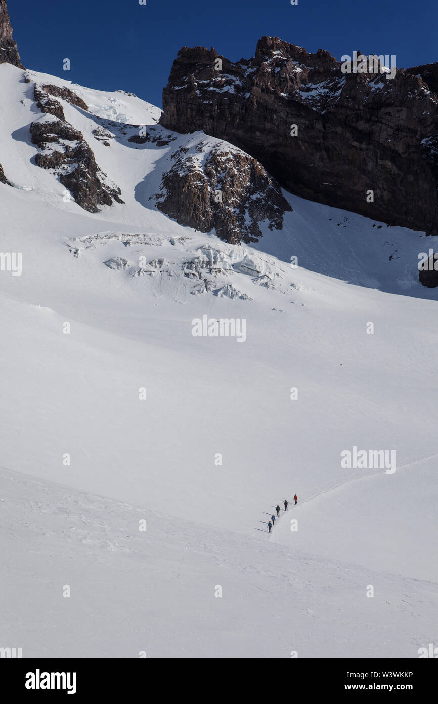 Climbing Rope Teams Descend A Trail Above Camp Muir on Mount Rainier