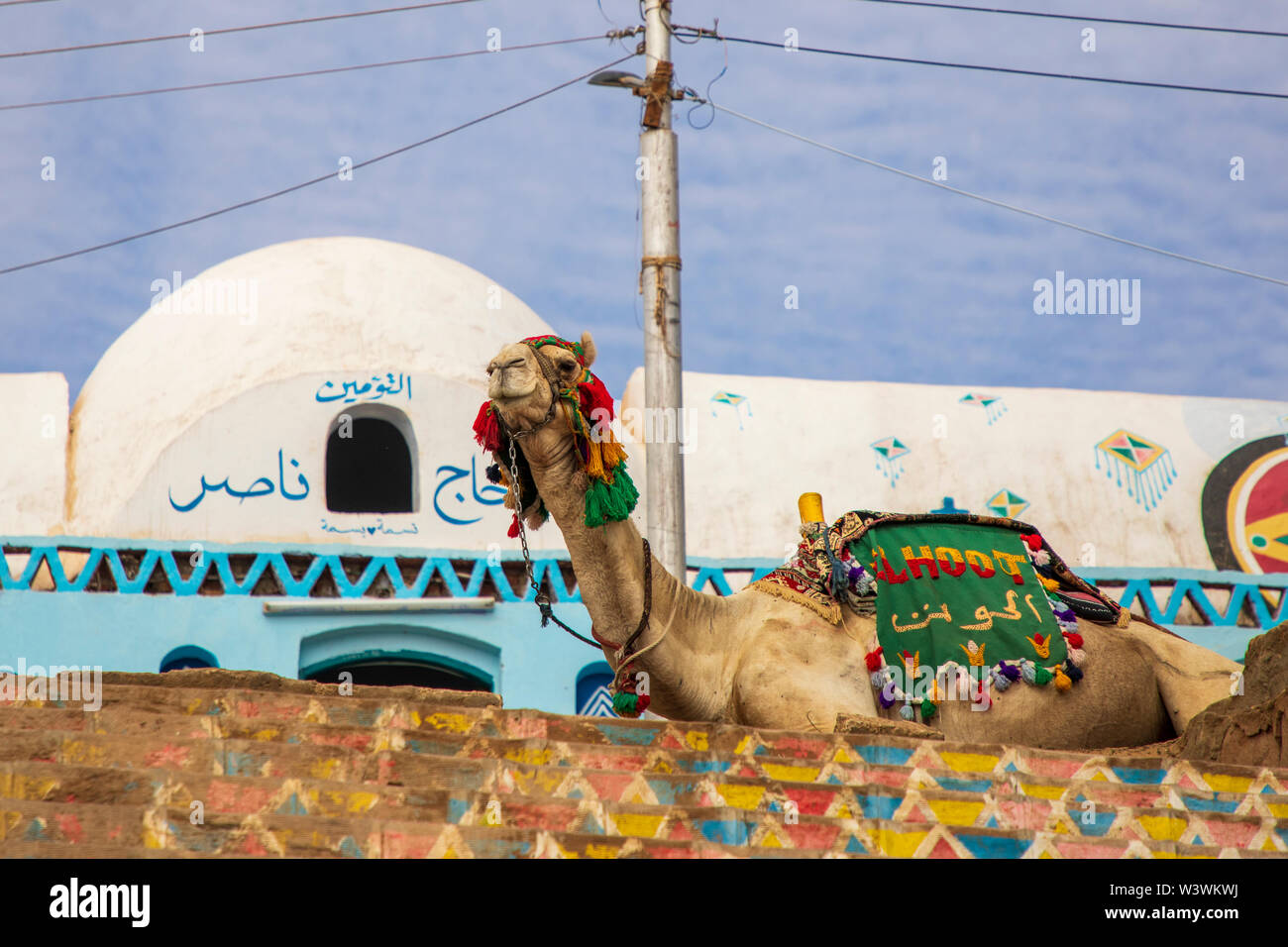 Camel laying in front of a Nubian village Stock Photo