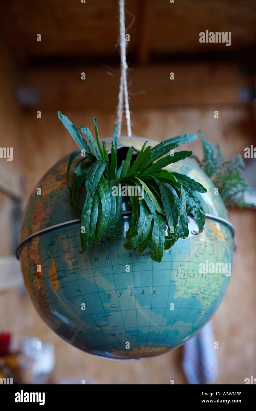 Globe as a flower pot Stock Photo
