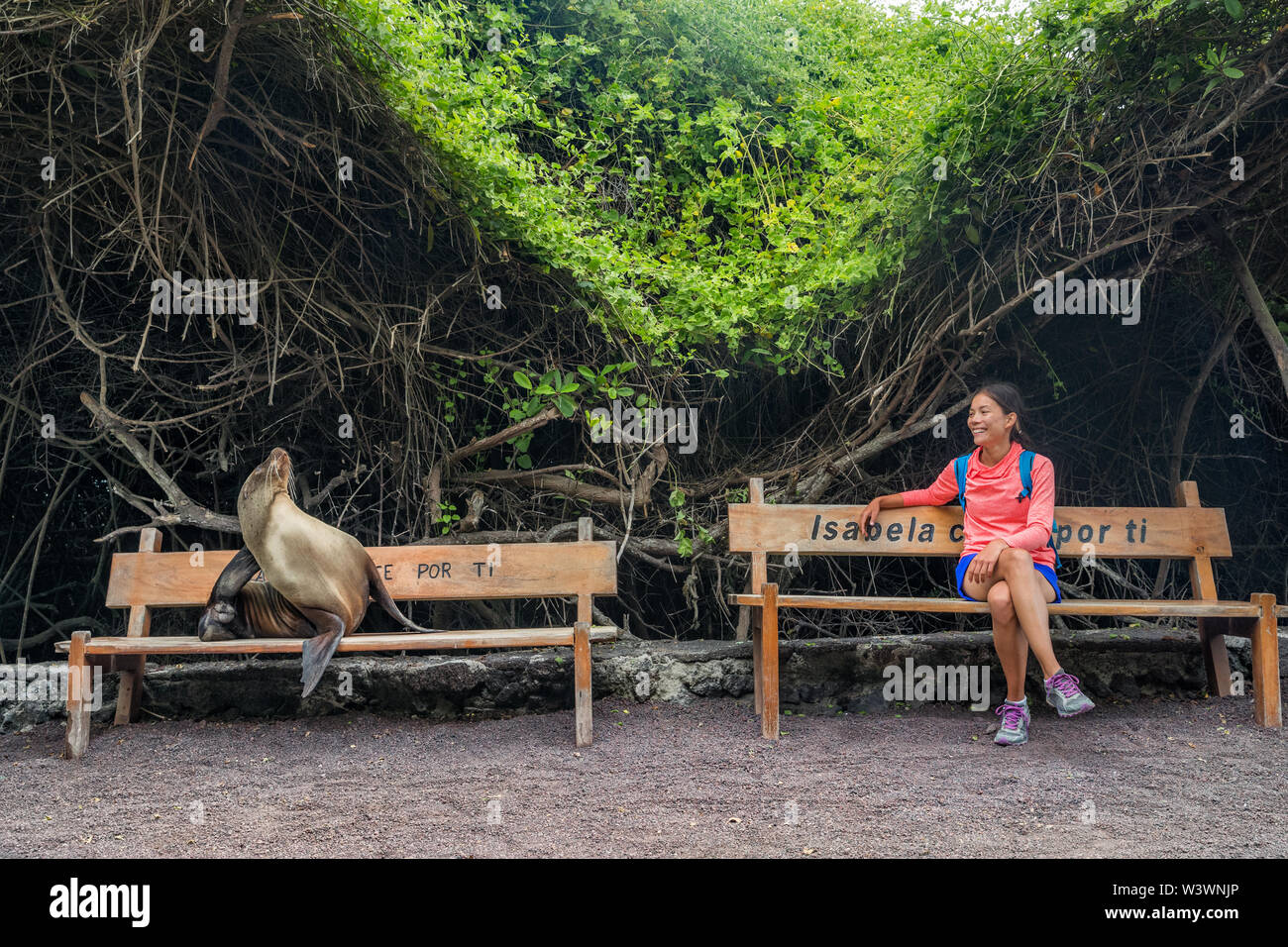 Galapagos animals. Tourist woman sitting on bench with sea lion and iguana on Isabela Island in the port of Puerto Villamil, Galapagos Islands, Ecuador, South America. Stock Photo