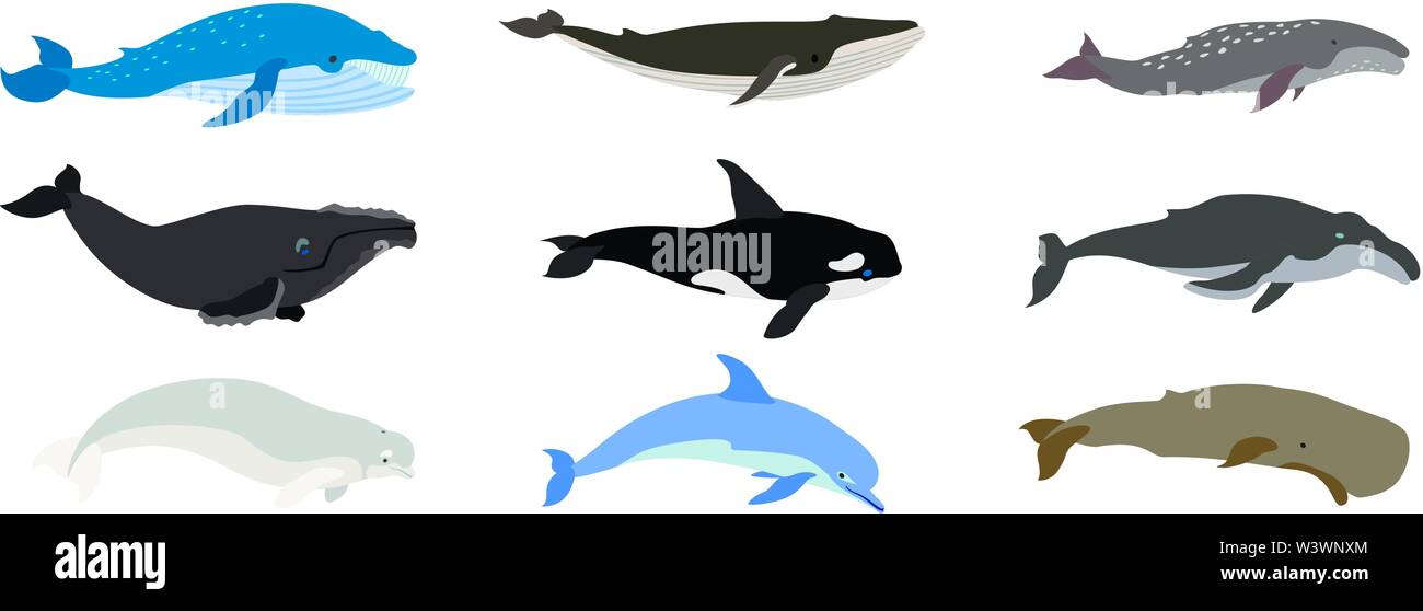 Whale icons set. Flat set of whale vector icons for web design Stock ...