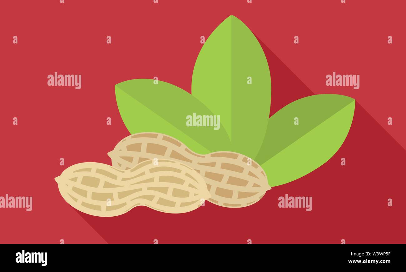 Whole peanut shell icon. Flat illustration of whole peanut shell vector ...