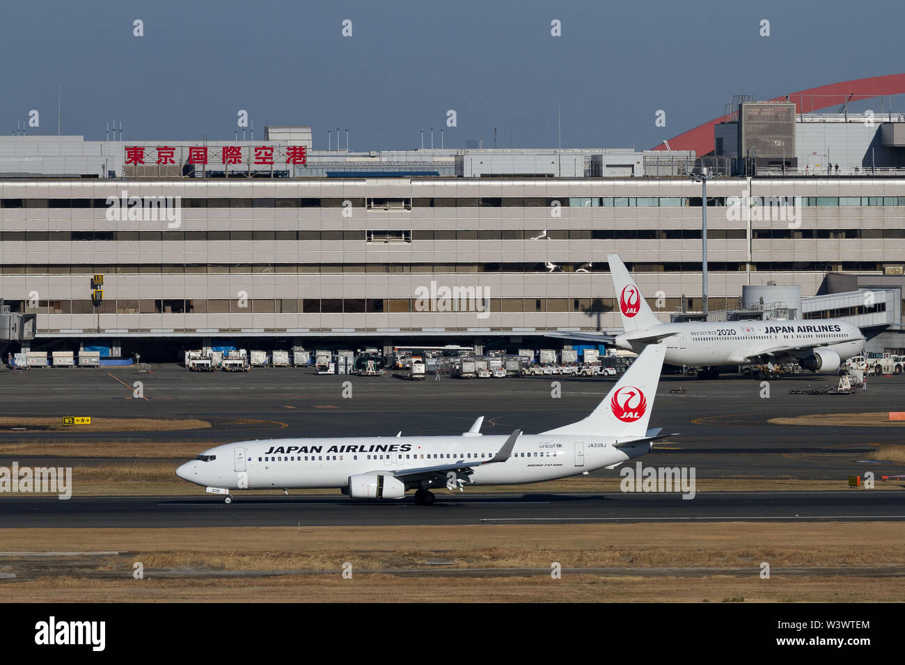 A Japan Airlines (JAL) Boeing 737-880 at Haneda International Airport, Tokyo, Japan. Stock Photo