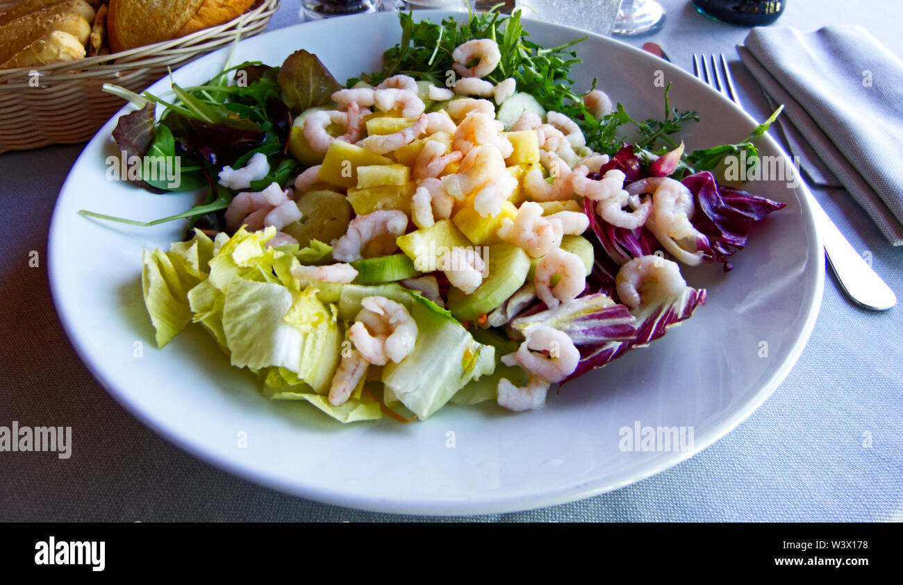 Fresh salad with shrimps, chicory and cucumbers Stock Photo