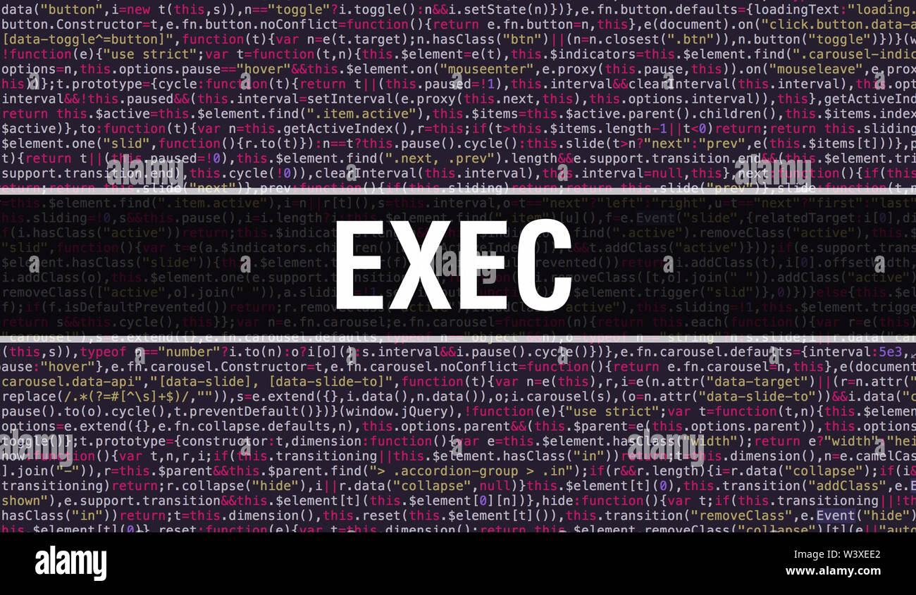 Exec text written on Programming code abstract technology background of software developer and Computer script. Exec concept of code on computer monit Stock Photo