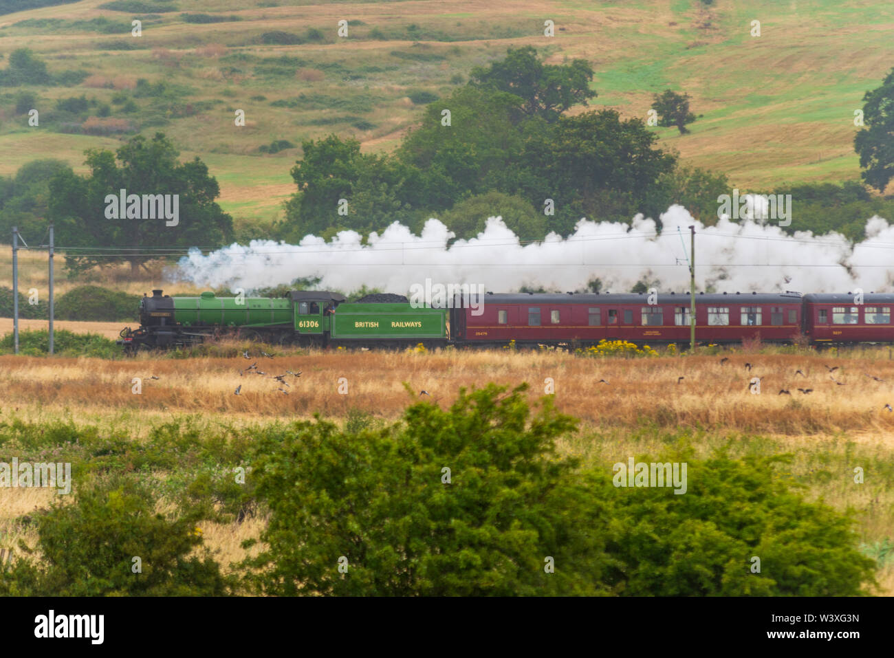 BR B1 class steam locomotive 'Mayflower' number 61306 is seen passing through Hadleigh Marsh in the rain below the ruins of the 13th century Hadleigh Castle on its way from Southend East station in Essex towards Winchester in Hampshire, hauling a Steam Dreams steam special train of vintage carriages. 'Mayflower' has recently received an overhaul and is resplendent in BR apple green livery Stock Photo