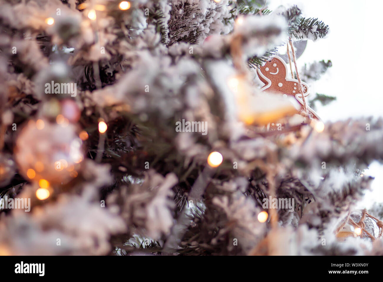 Man hanging tree branch hi-res stock photography and images - Alamy
