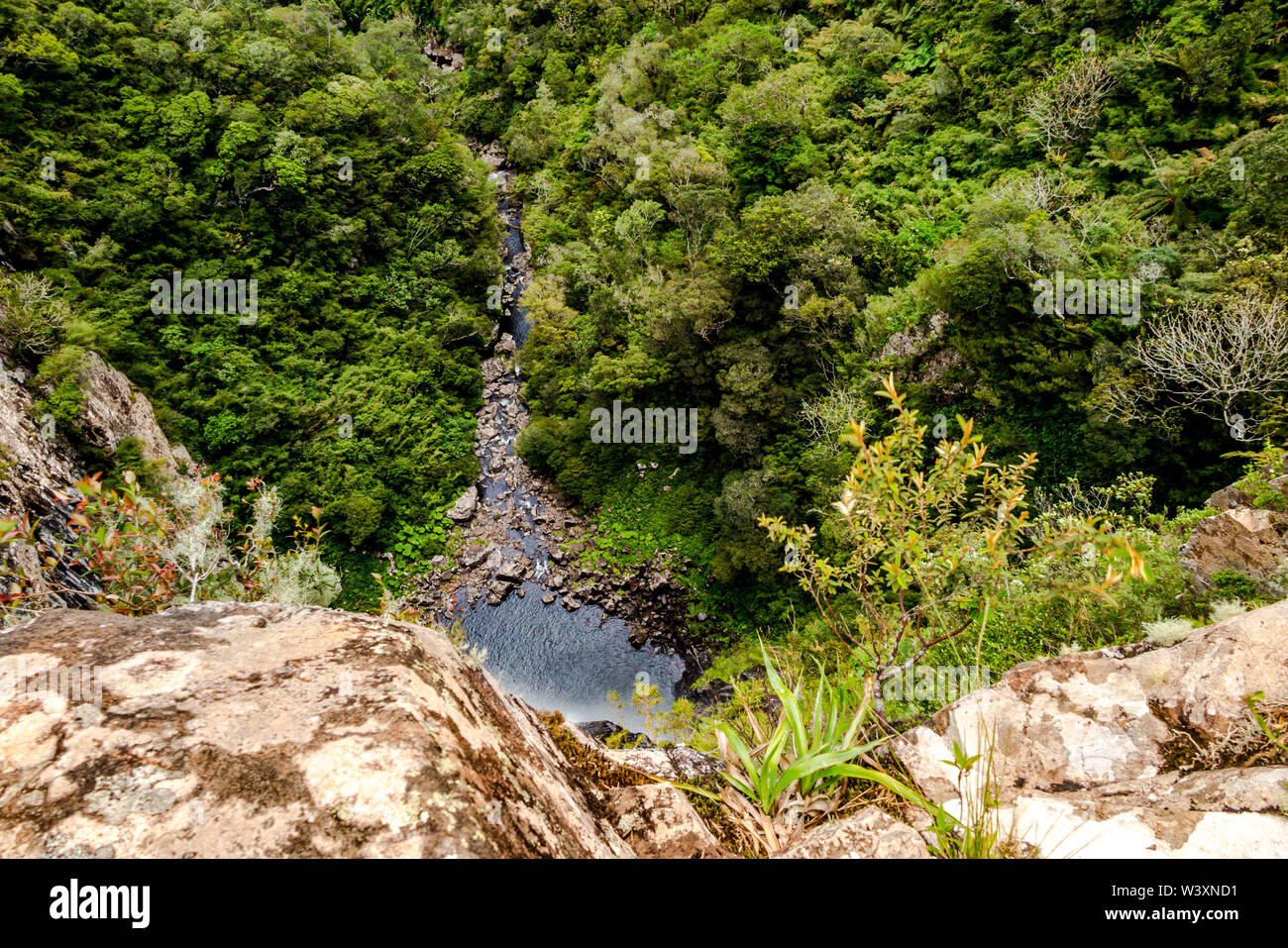 Grão Pará Santa Catarina fonte: c8.alamy.com