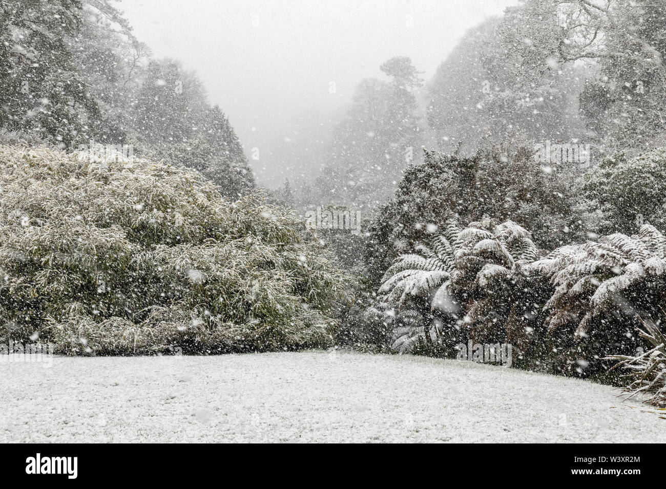 Trebah Garden; Snow; Cornwall; UK Stock Photo