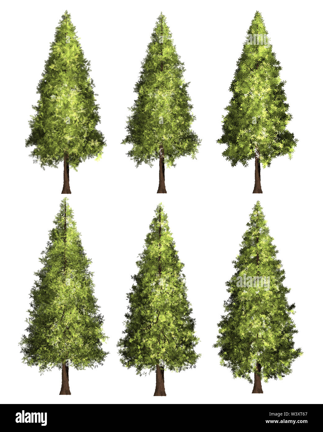 Green Forrest tree background. 2 set Illustration tree. Stock Photo