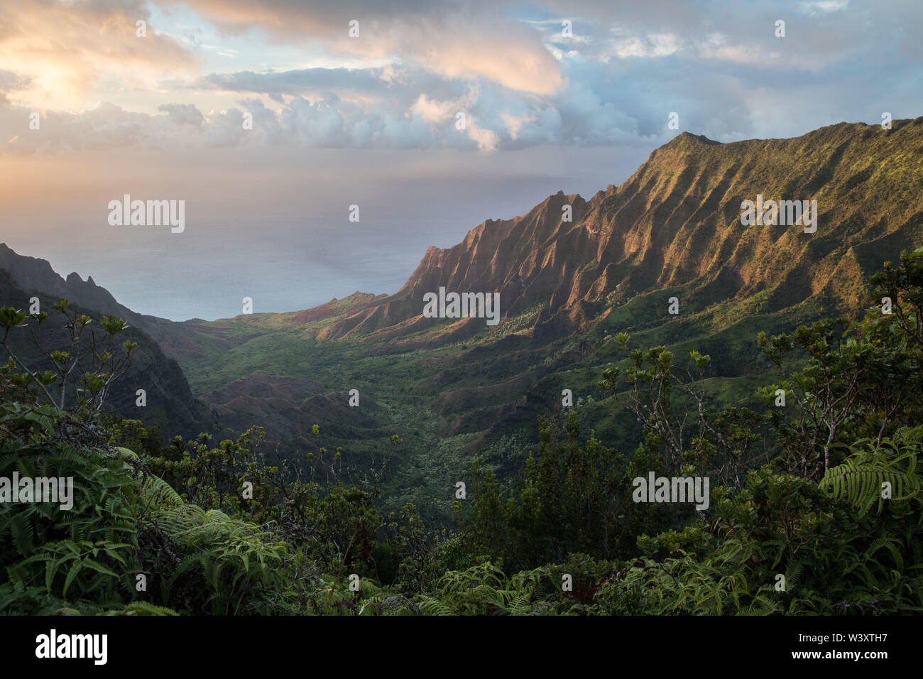 Kalalau Valley Lookout, Kokee State Park, Waimea Canyon is one of the