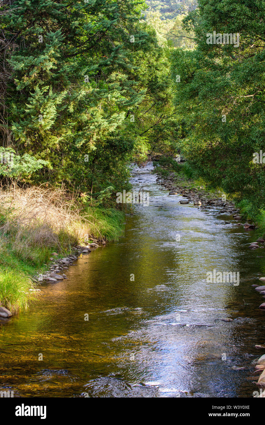Kiewa River at Mt Beauty in the high country in Victoria Australia Stock Photo