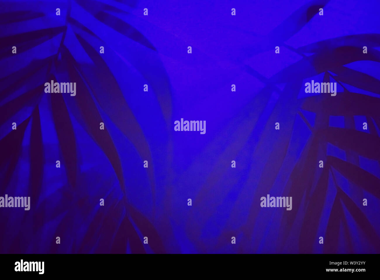 Tropical background with palm leaves shadows in ultraviolet light Stock ...