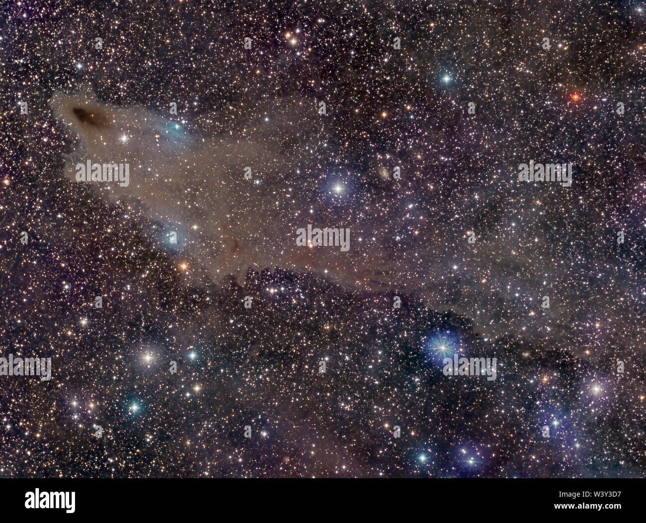 LDN1235 dark nebula (Shark nebula) Stock Photo