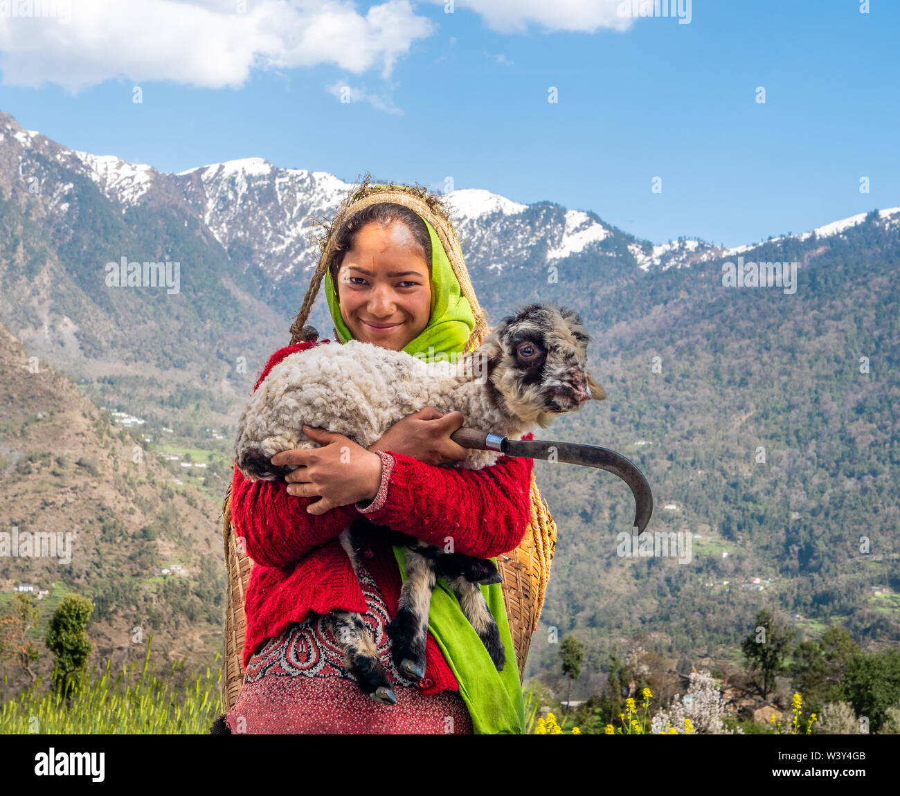 Shepherd girl with lamb and sickle in the village of Supi in the Pindar Valley Uttarakhand Himalayas northern India Stock Photo