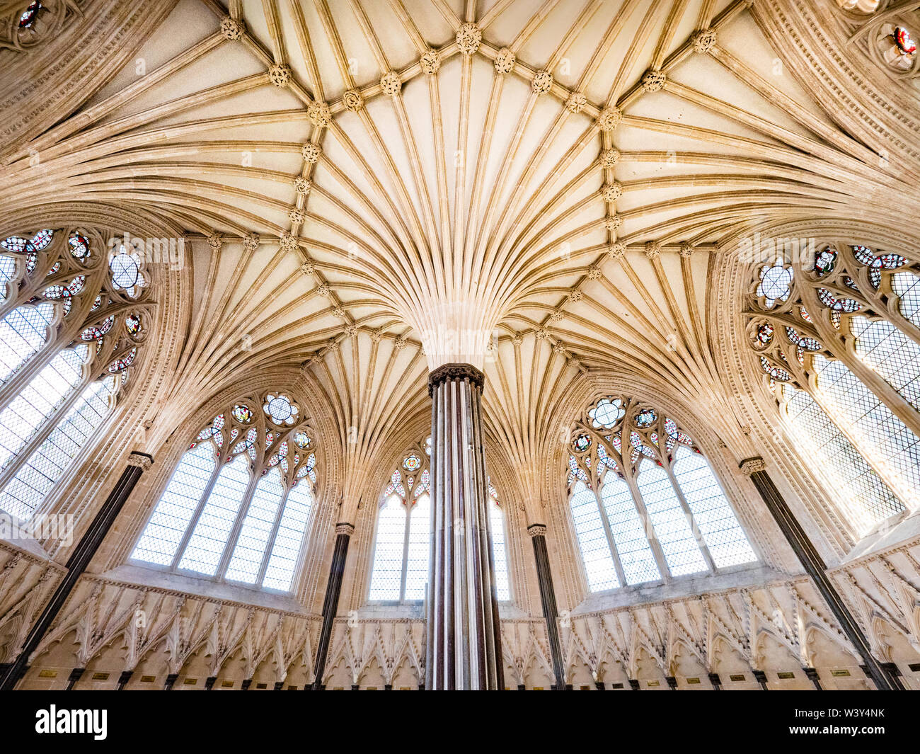 Delicate stone tracery in the gothic vaulted ceiling of the chapter house of Wells Cathedral in Somerset UK Stock Photo