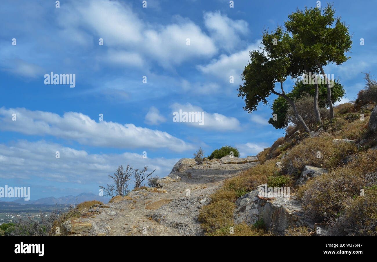 A curving narrow dirt track with a tree and scorched vegetation in the Cretan countryside. Stock Photo