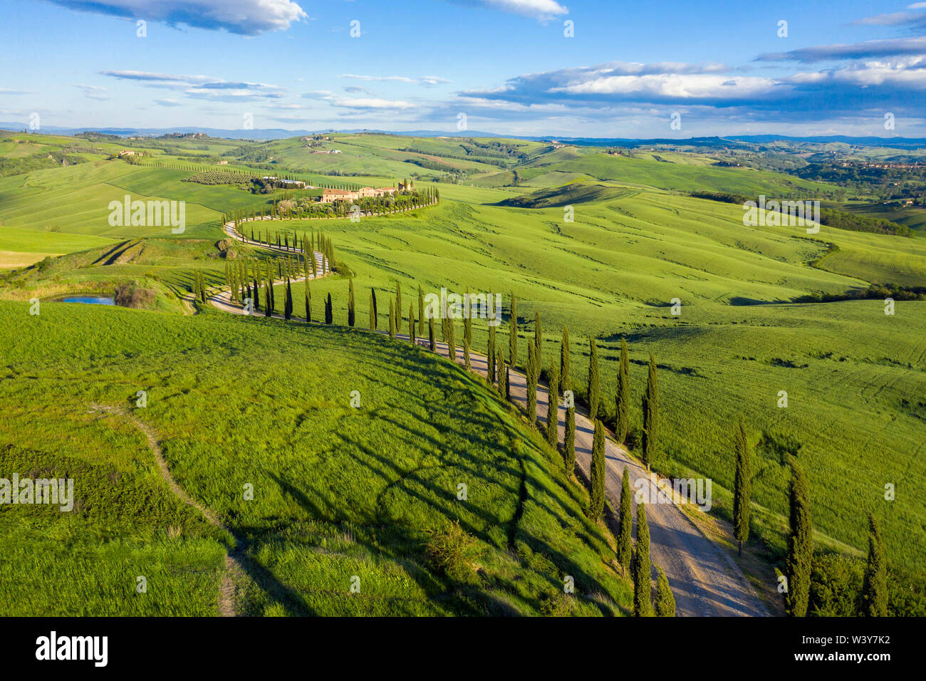 Italy, Tuscany, Val d'Orcia, Siena Province, Cypress tree road leading to Agriturismo Baccoleno near Asciano Stock Photo
