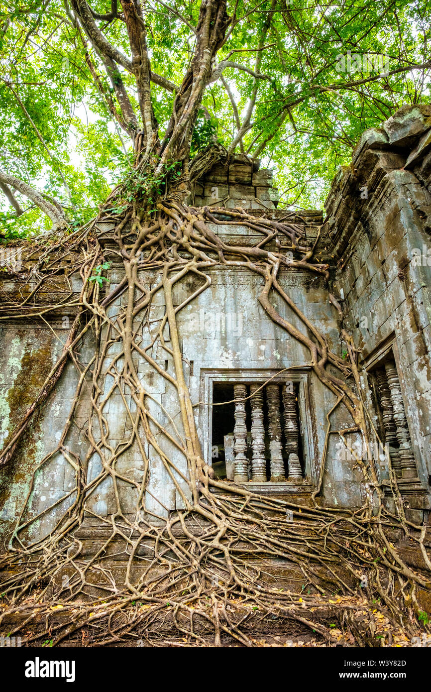 Prasat Beng Mealea temple ruins, Siem Reap Province, Cambodia Stock ...