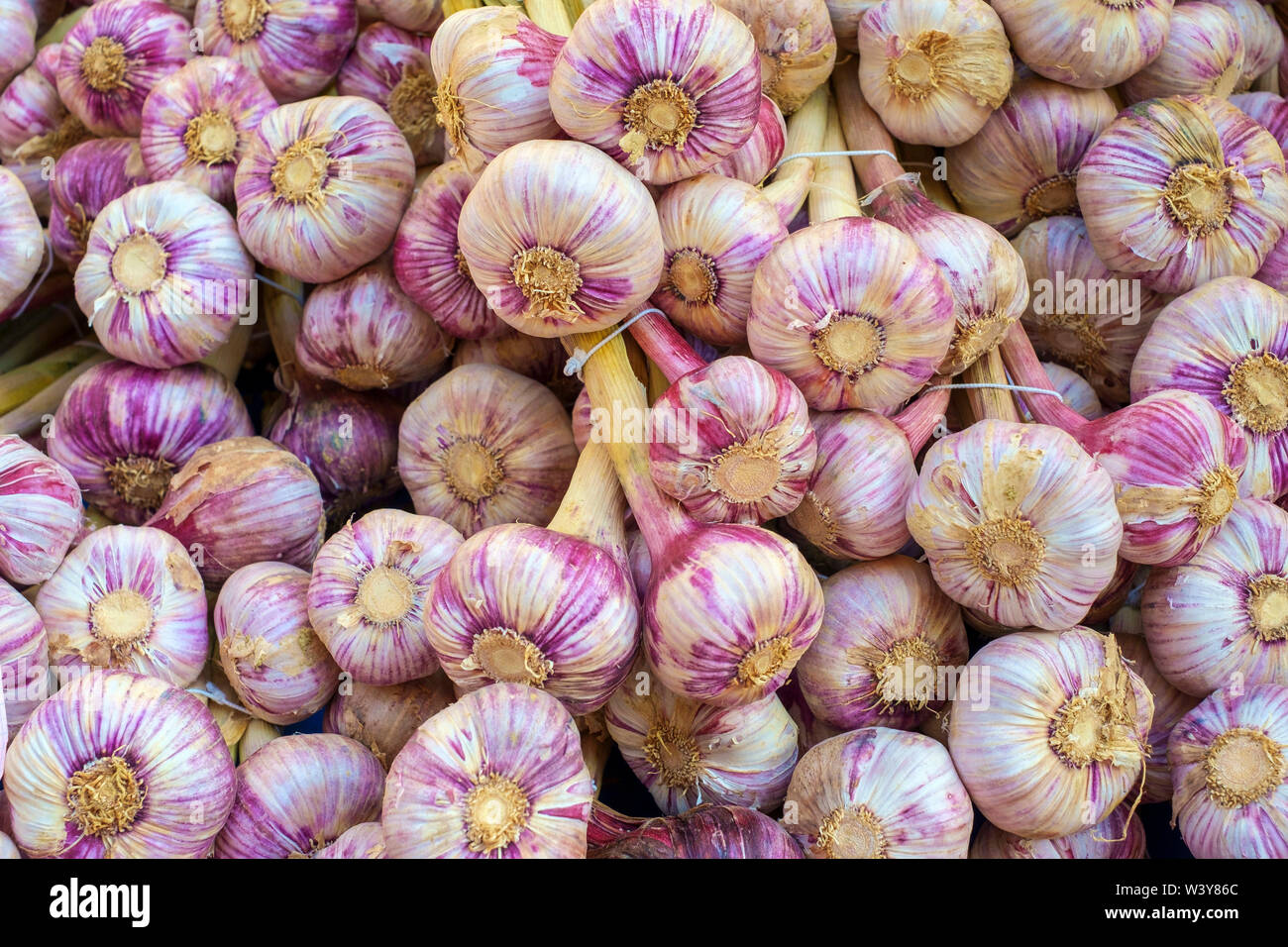 Garlic bulbs for sale at weekly farmer's market on Place de la Liberte
