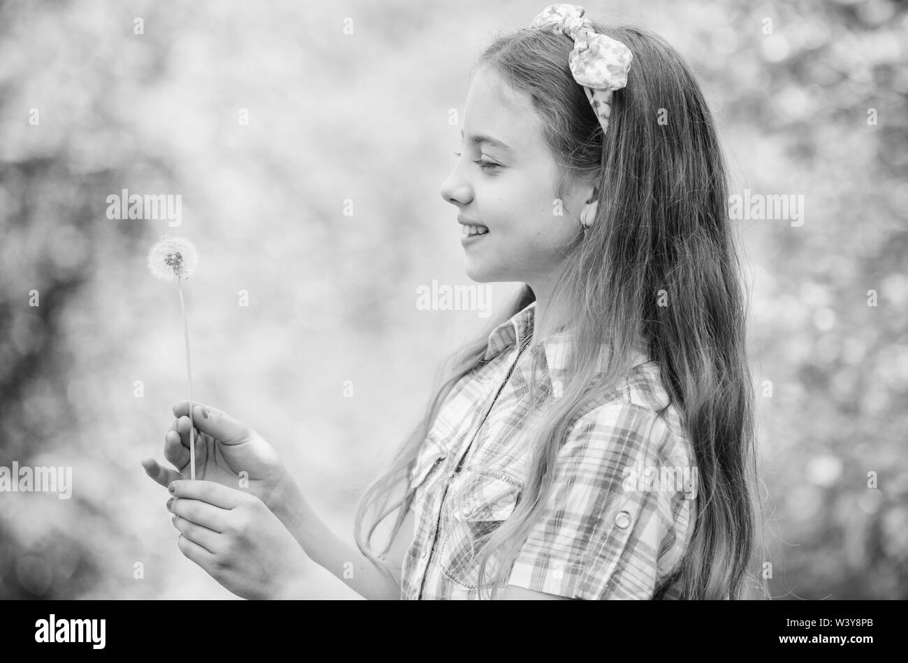 Dandelion full symbolism. Summertime fun. Folklore beliefs about