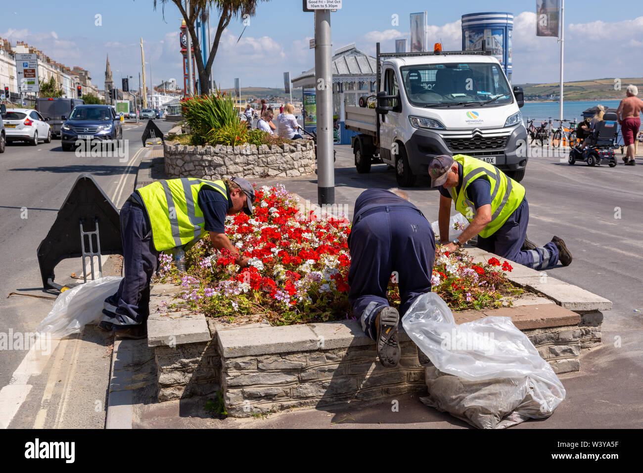 Council worker tending to a flower bed, Weymouth, Dorset UK Stock Photo