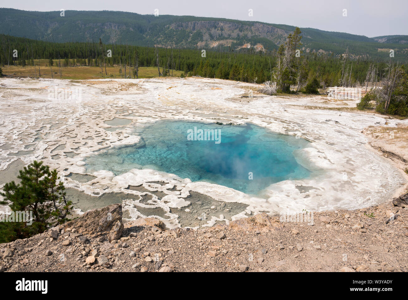 Geyser and hot spring in old faithful basin in Yellowstone National ...