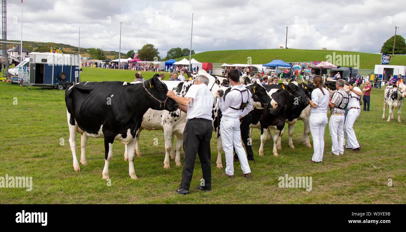 Skibbereen, West Cork, Ireland, 18th July 2019, The sun shone on the Carbery Show today allowing the community to show off their animals, ride their horses and enjoy the fun of the show ground. Credit aphperspective/ Alamy Live News Stock Photo