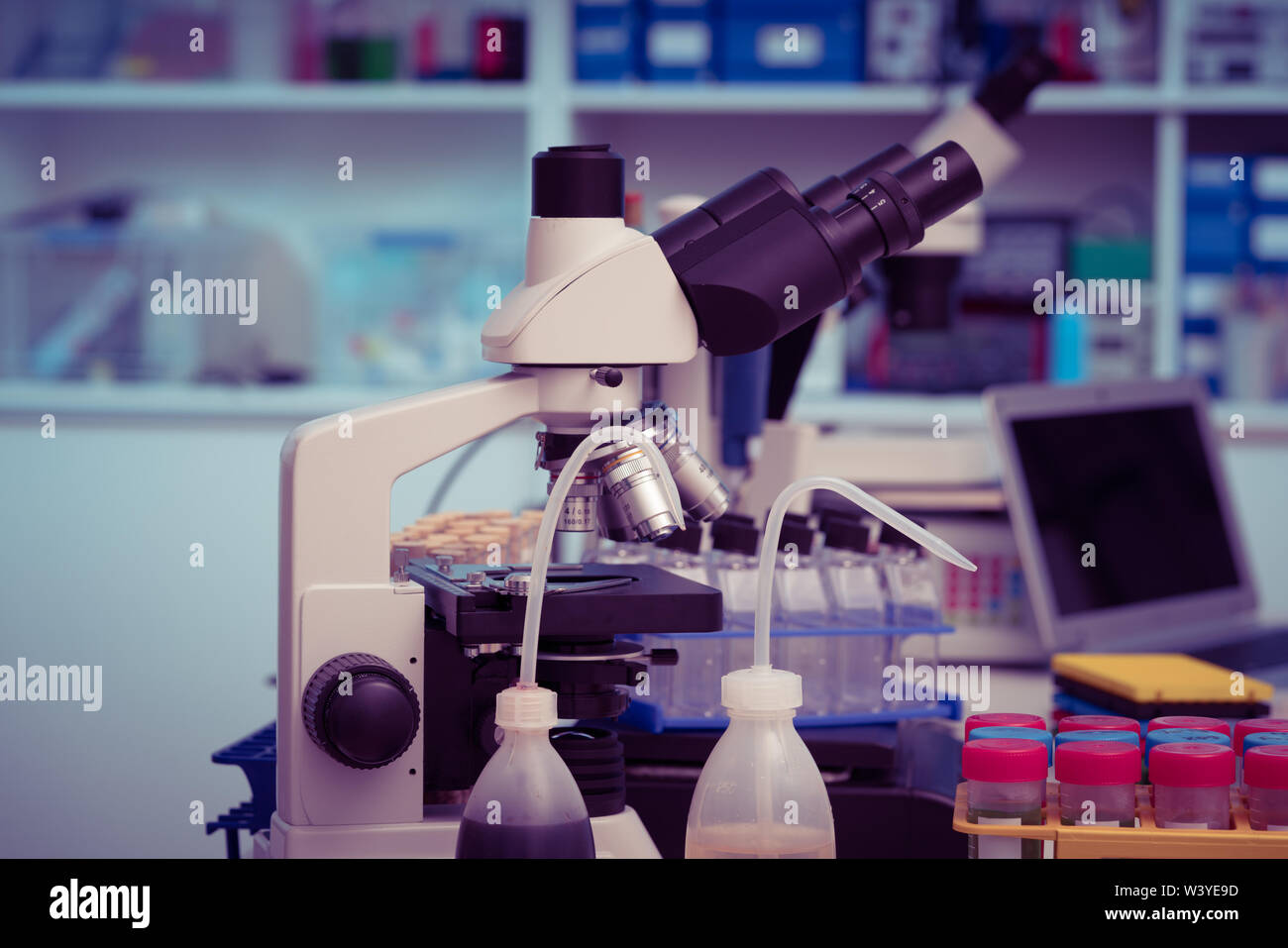 Microscope Forensics Hi-res Stock Photography And Images - Alamy