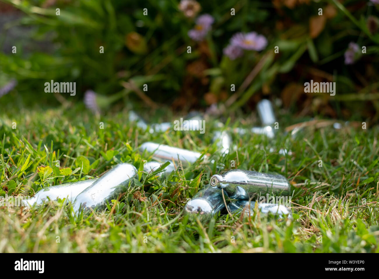 Discarded laughing gas canisters / cream chargers in the grass metal
