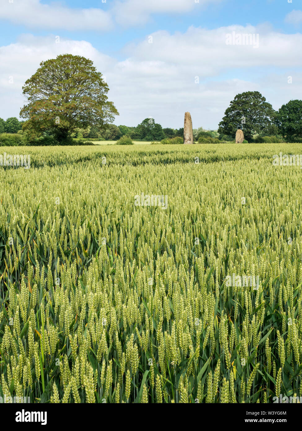 The Devils Arrows millstone grit prehistoric monoliths at Boroughbridge