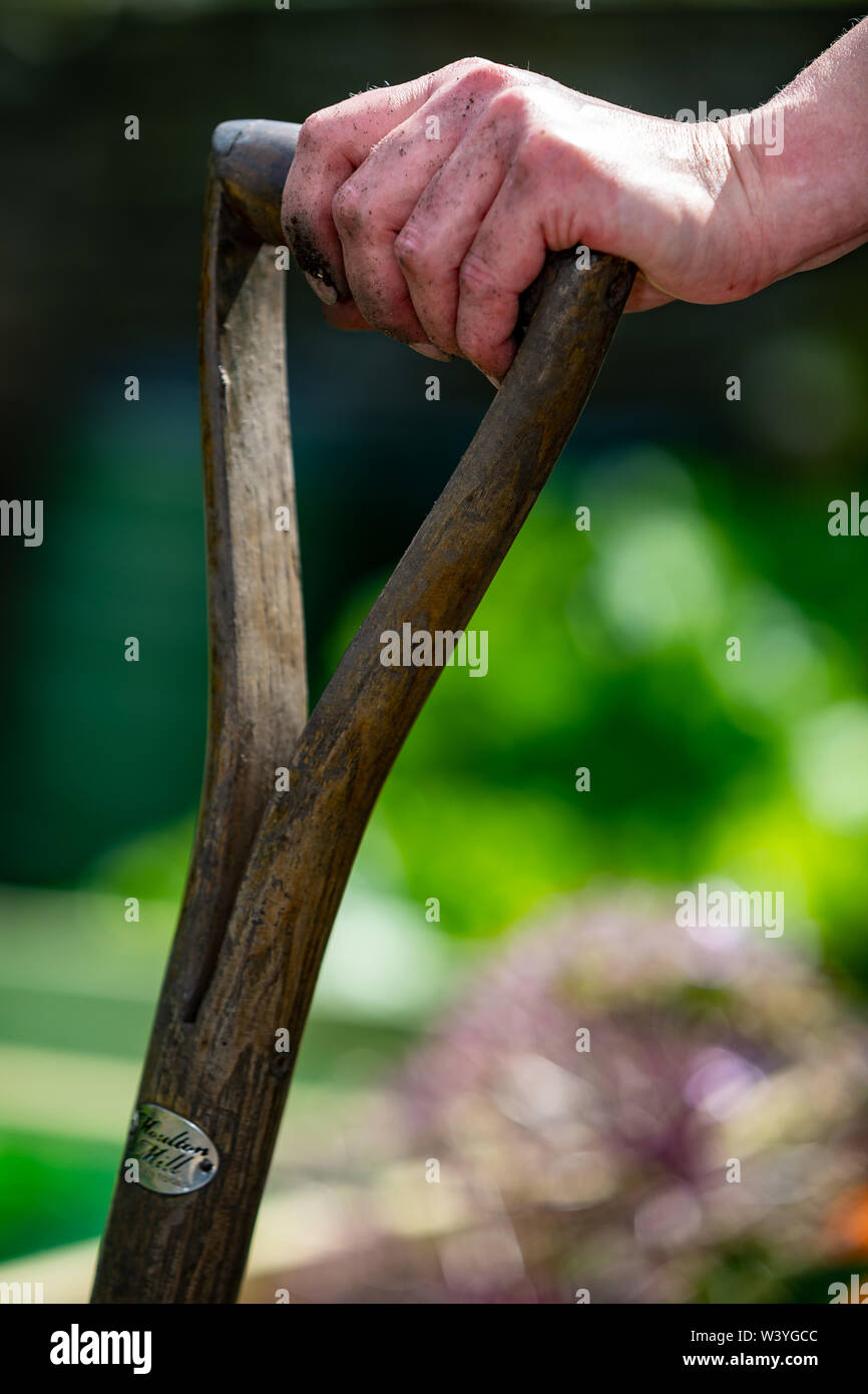 Woman holds garden spade handle whilst taking a rest from digging Stock