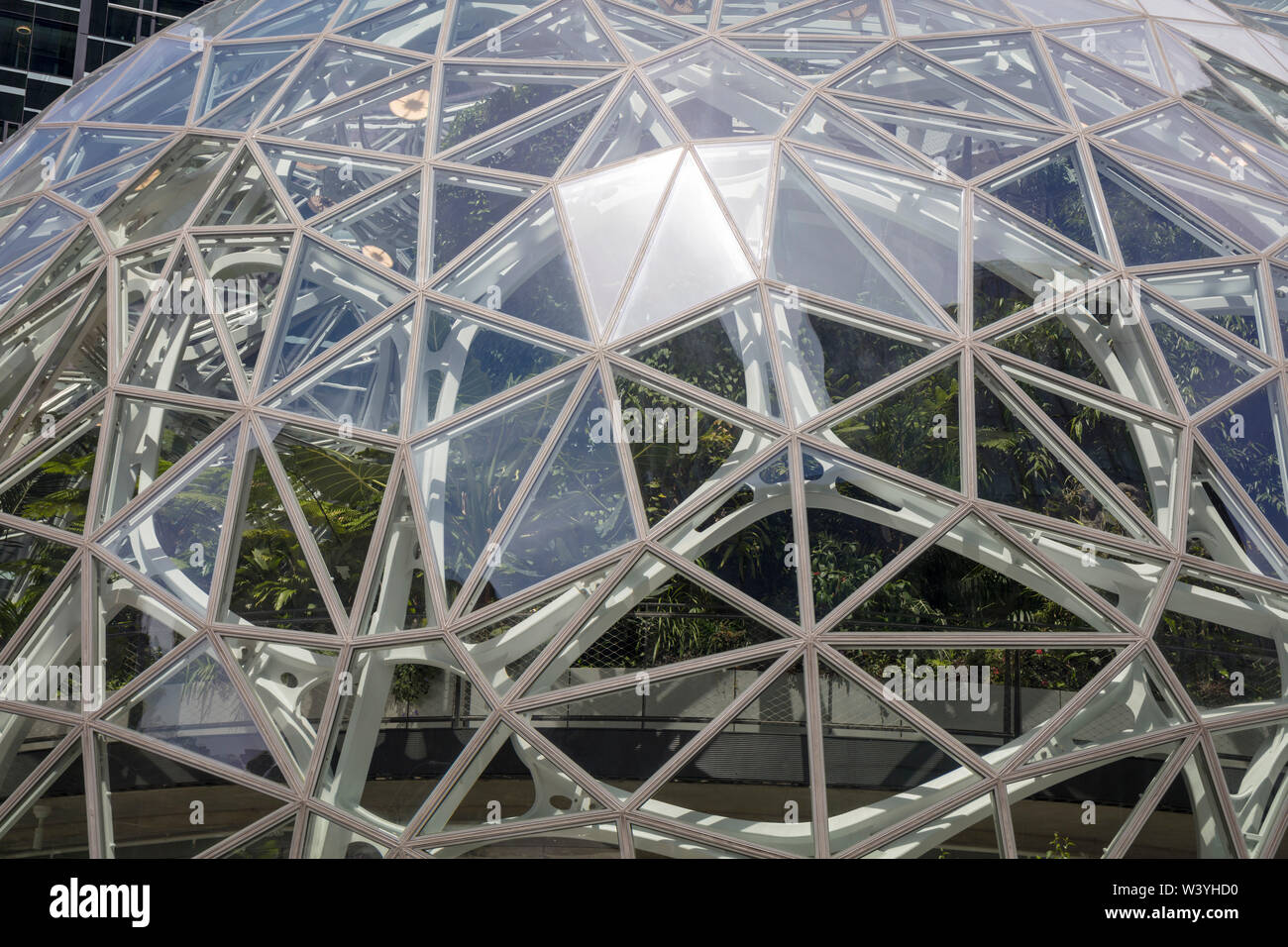 Green plants in the Amazon Spheres, Amazon headquarters campus, Seattle, Washington, United States of America Stock Photo