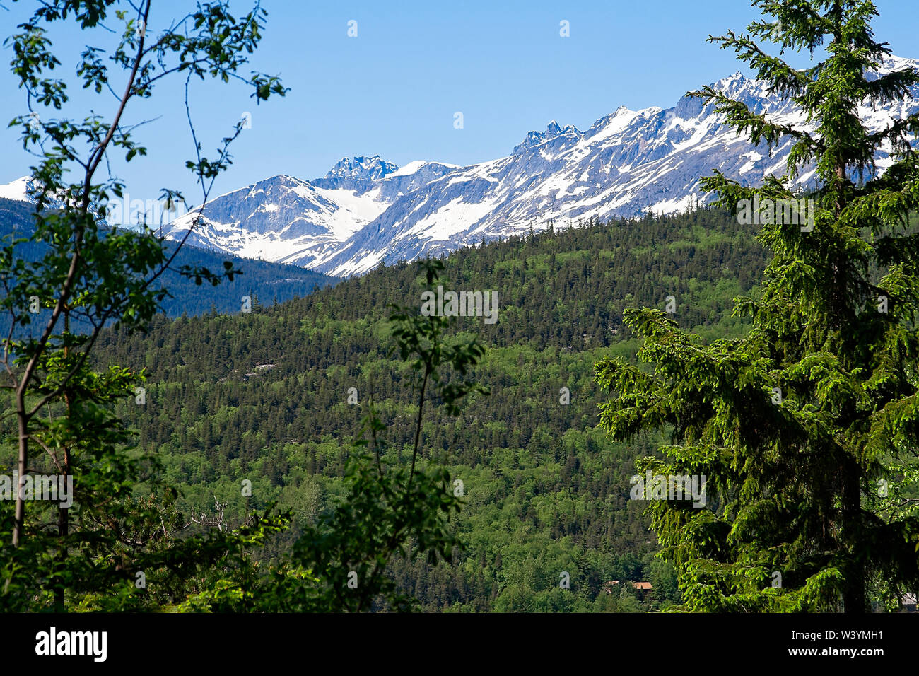 Mountain range and scenic forest landscape in Skagway, Alaska Stock Photo