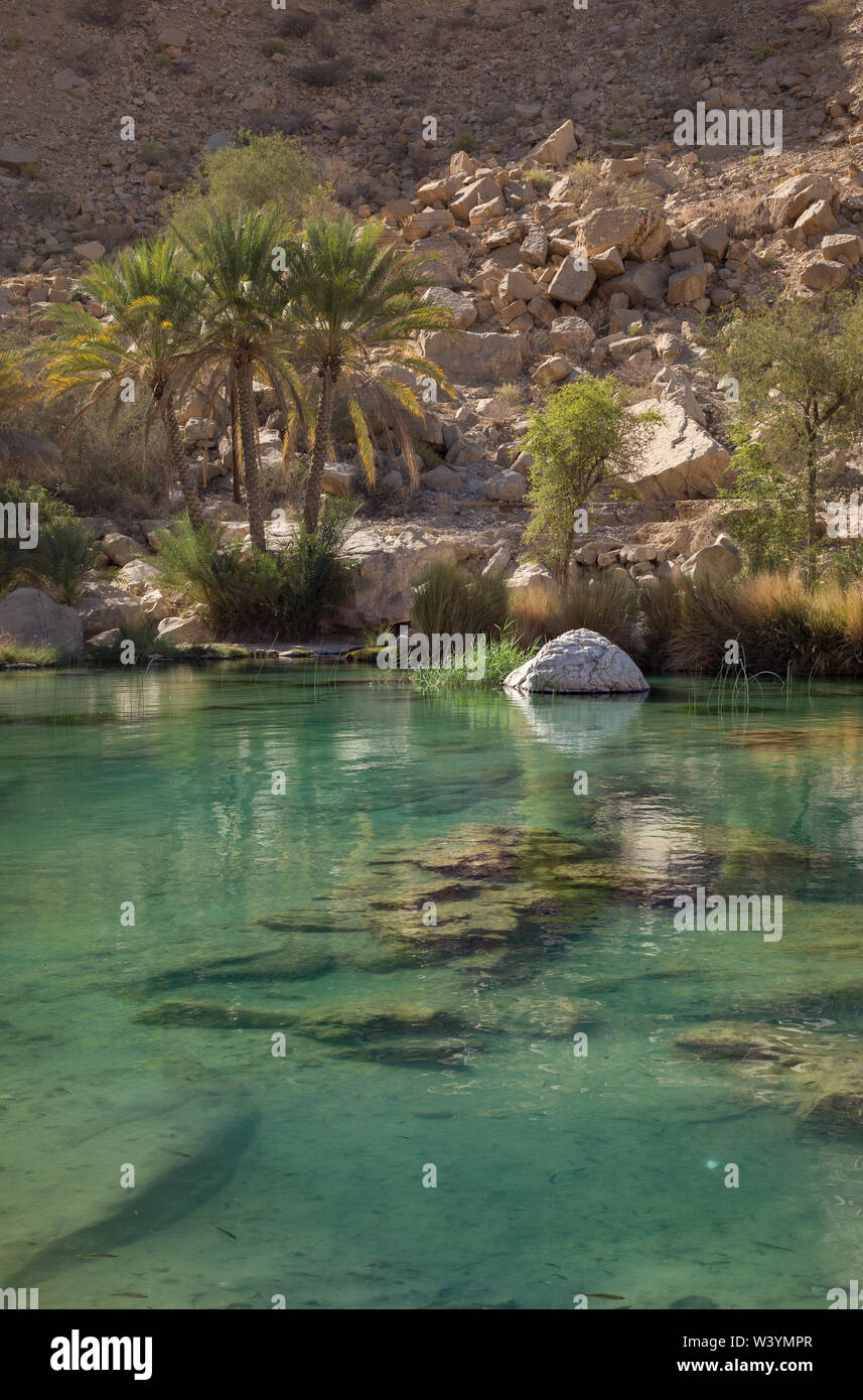 Oase Wadi Bani Khalid in Oman Stock Photo