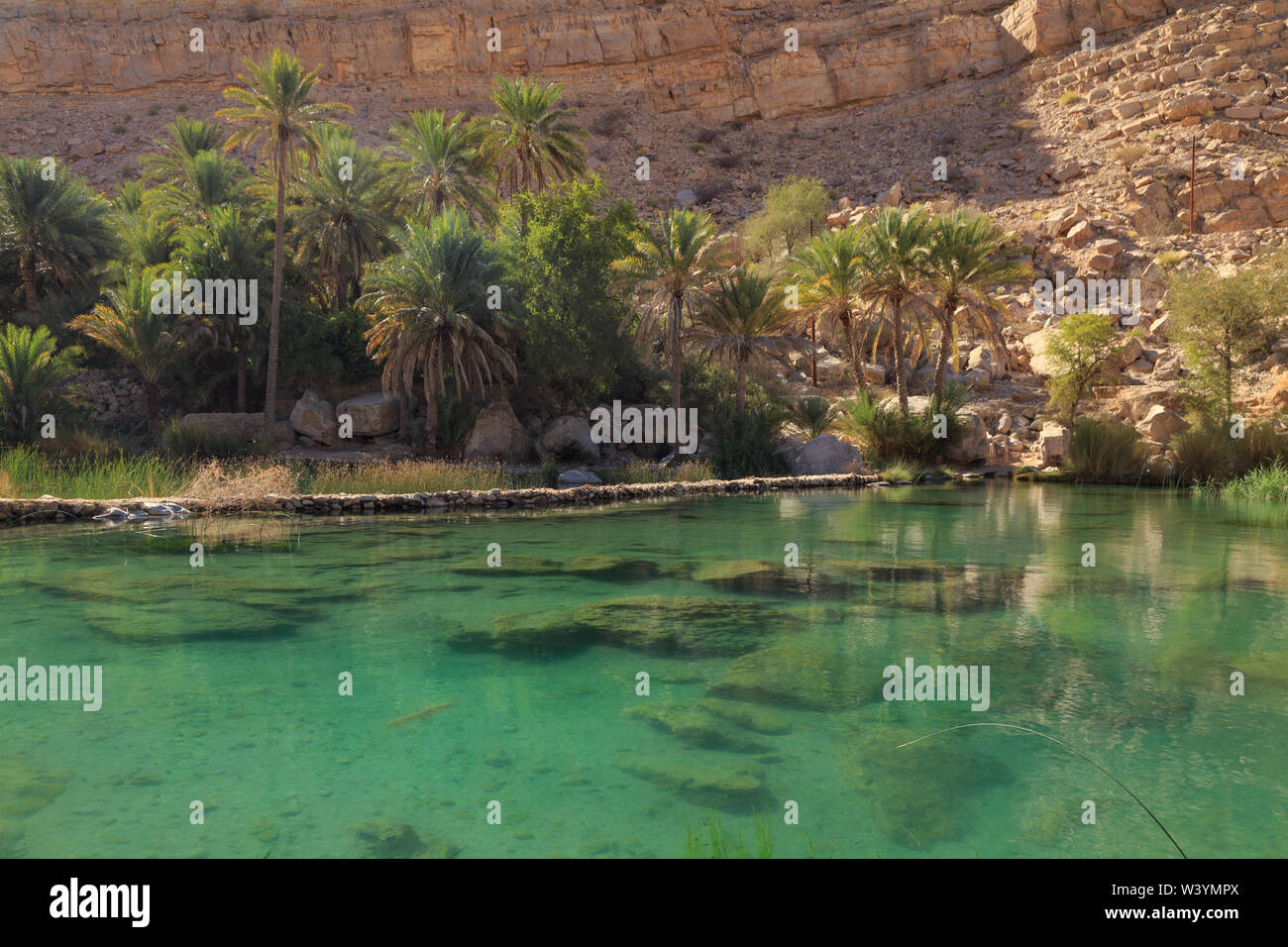 Oase Wadi Bani Khalid in Oman Stock Photo