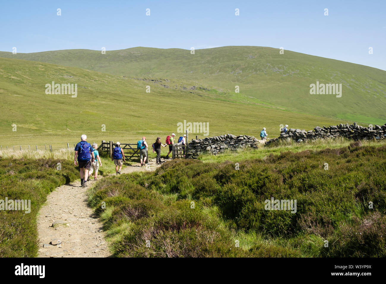 Hikers hiking towards a gate on Cumbria Way trail path from Skiddaw House to Keswick in Lake District National Park Cumbria England UK Britain Stock Photo