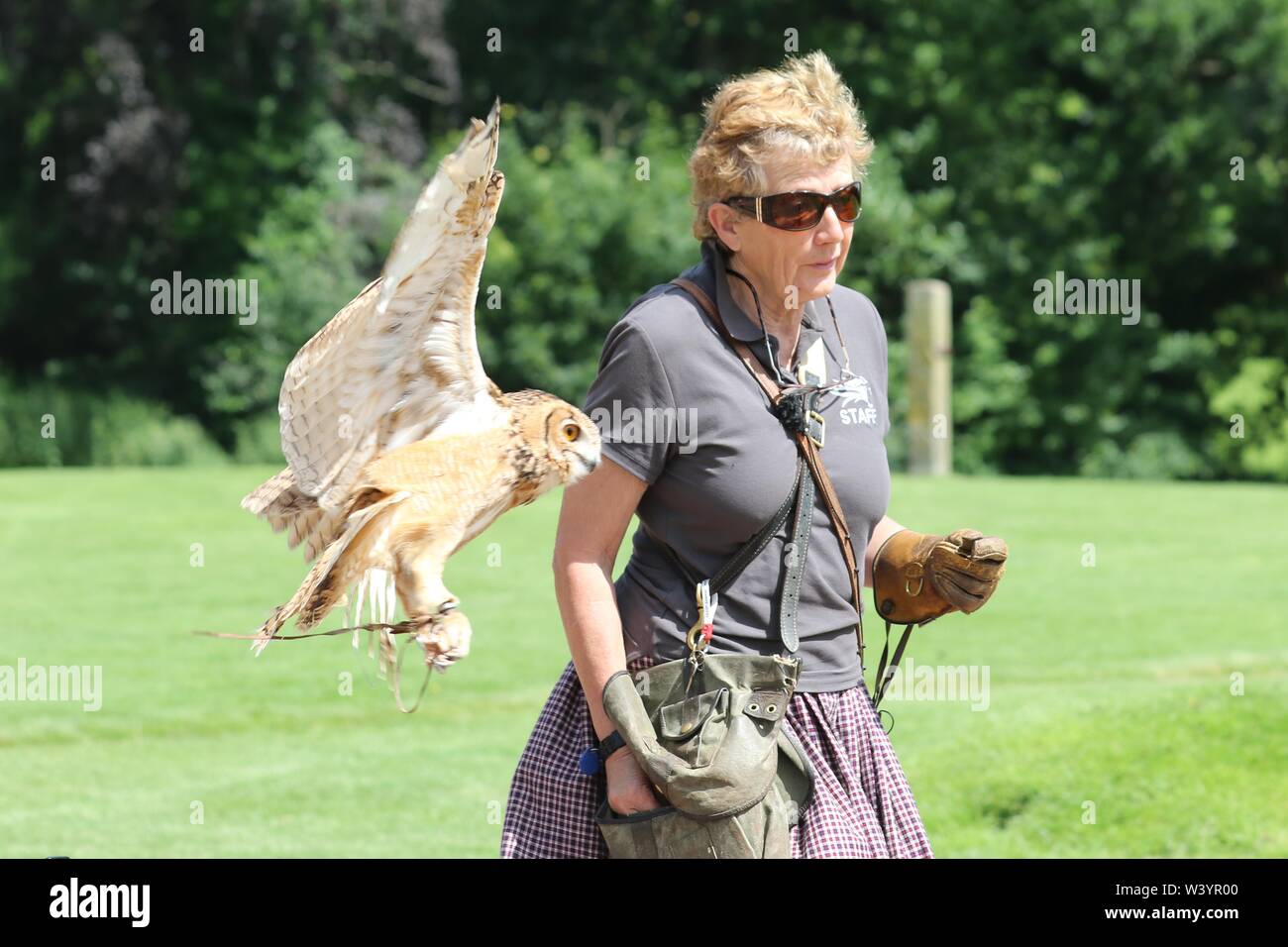 洋書 TRAINING BIRDS OF PREY JEMIMA PARRYJONES Amazon.com: Training Birds of Prey eBook : Parry-Jones