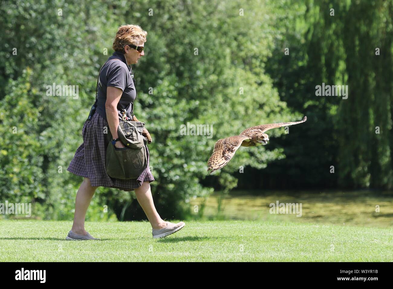 洋書 TRAINING BIRDS OF PREY JEMIMA PARRYJONES Training birds of prey : Jemima Parry-Jones : Free Download