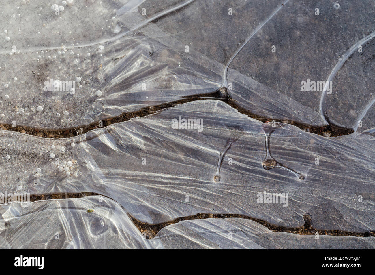 Close-up of thin ice on a puddle. Stock Photo