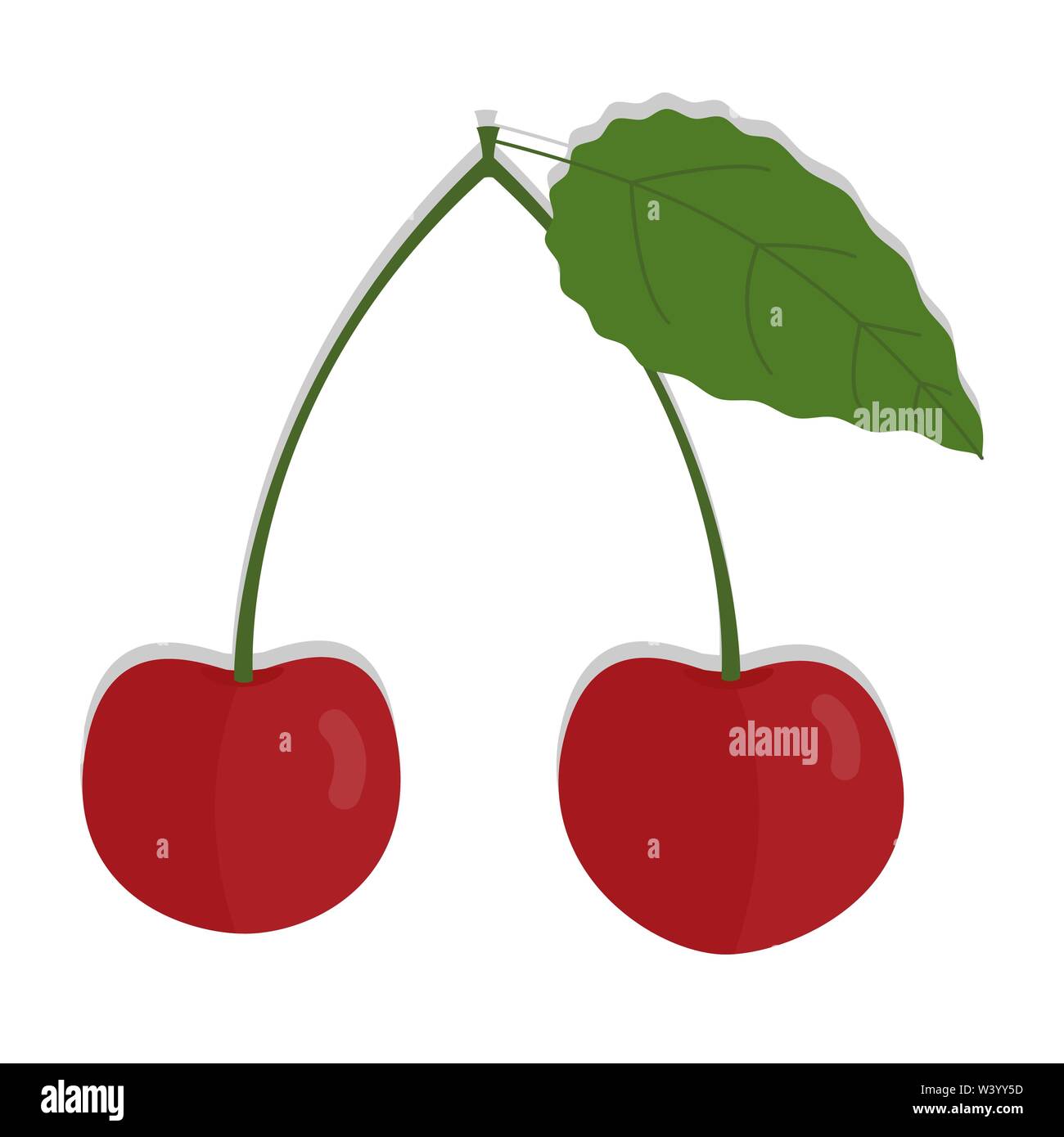 Cherry bunch on white background. Two cherries. Isolated. Stock Vector