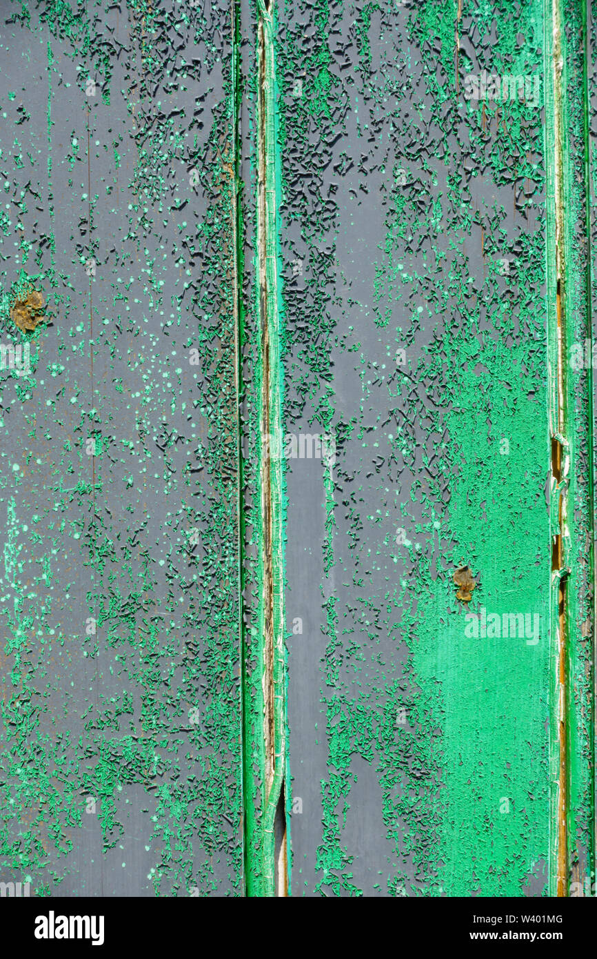 Distressed, faded and peeling paint. Green on grey Stock Photo