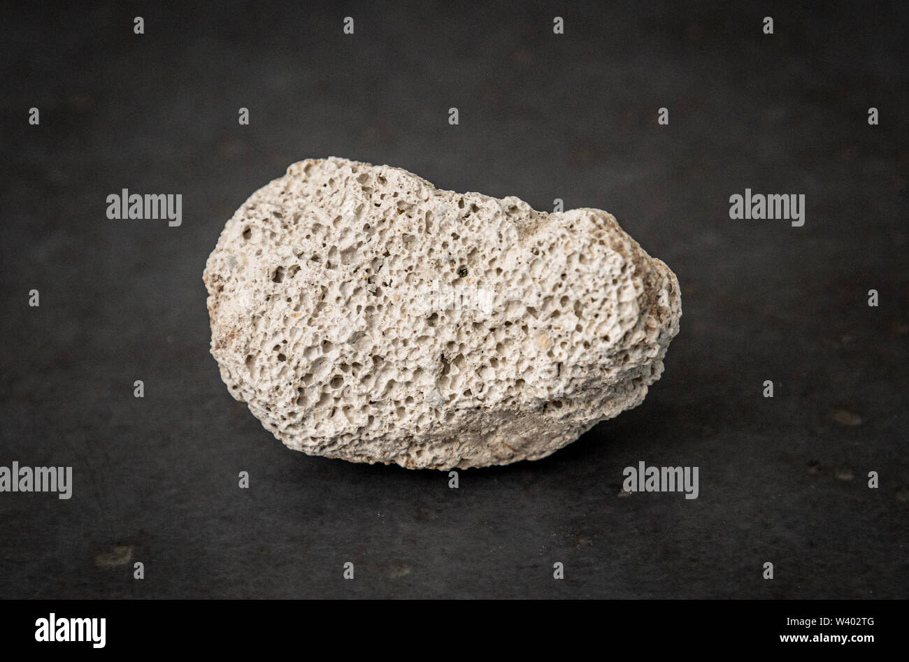 White coral gemstone mineral found at maritime areas formed by coral