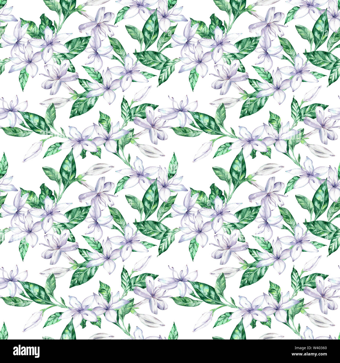 Watercolor seamless pattern with white coffee flowers and green leaves ...