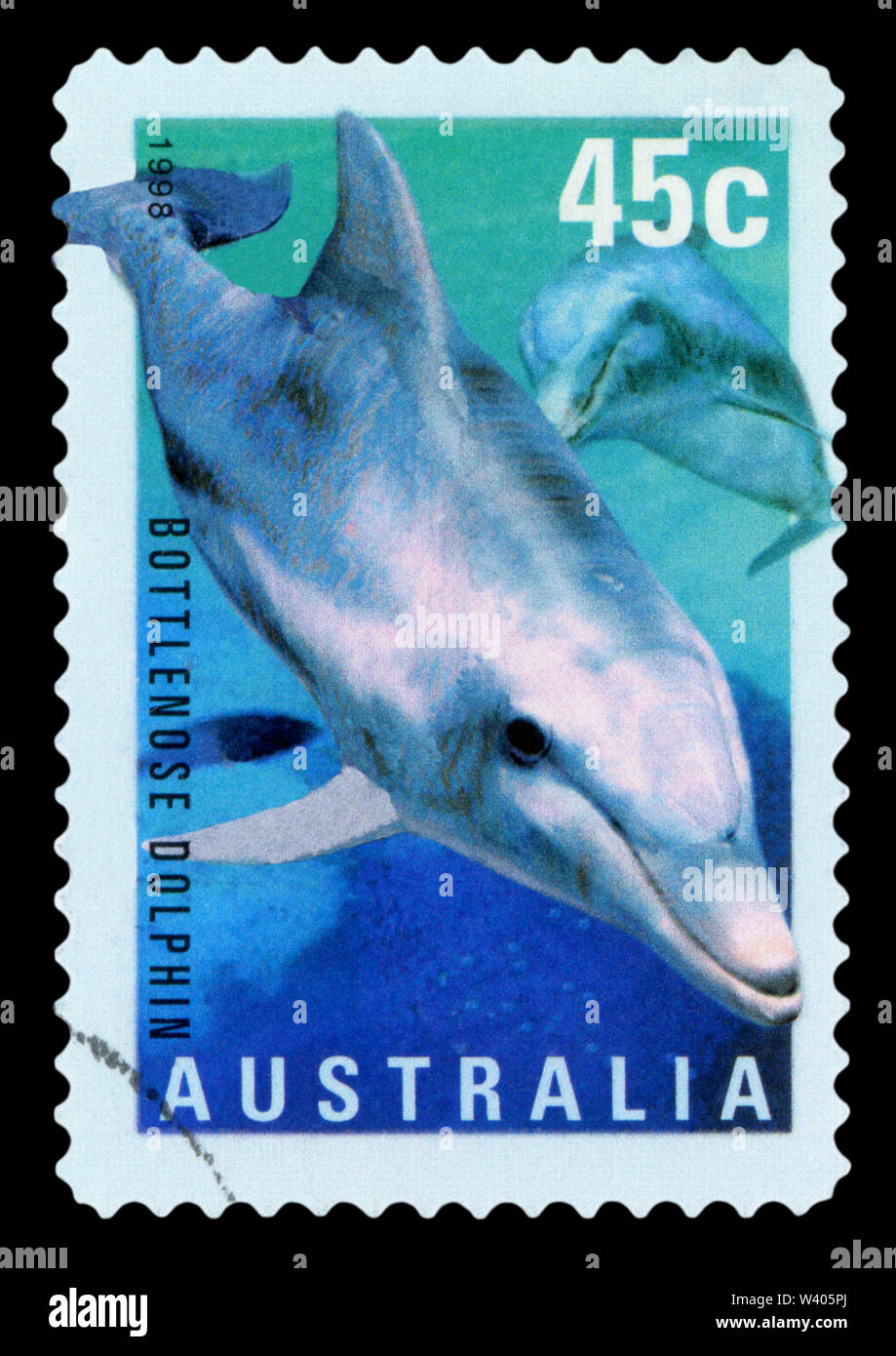 AUSTRALIA - CIRCA 1998: A stamp printed in Australia showing Bottlenose Dolphin, circa 1998. Stock Photo