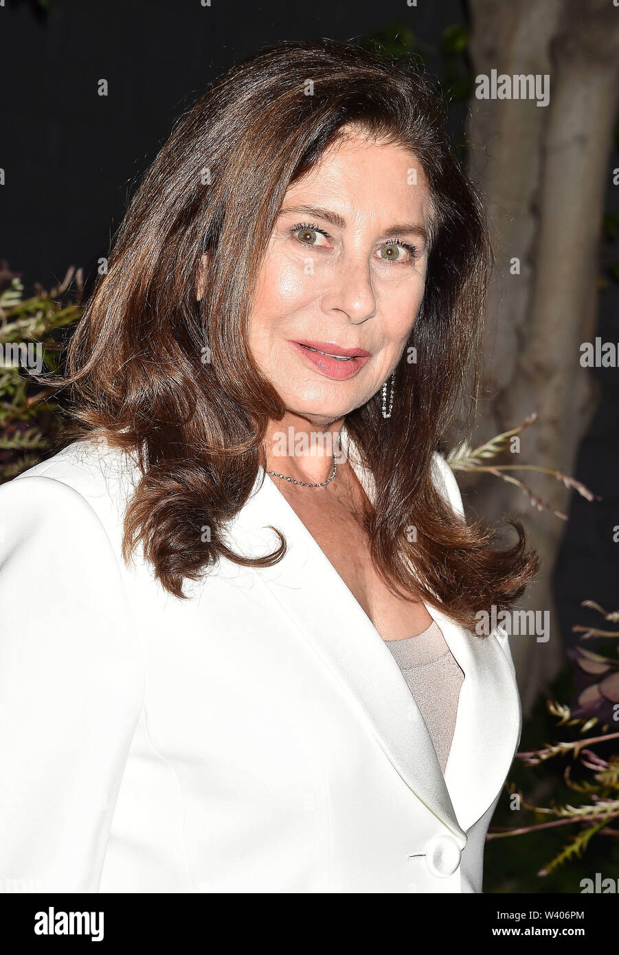 LOS ANGELES, CA - JULY 17: Paula Wagner attends the Brain Health Initiative 100th Anniversary Of Women's Suffrage Gala at Eric Buterbaugh Los Angeles on July 17, 2019 in Los Angeles, California. Stock Photo