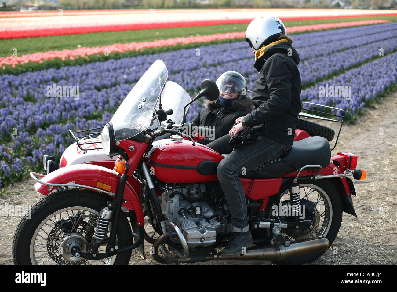 Two female friends enjoying the afternoon touring the tulip fields. Stock Photo