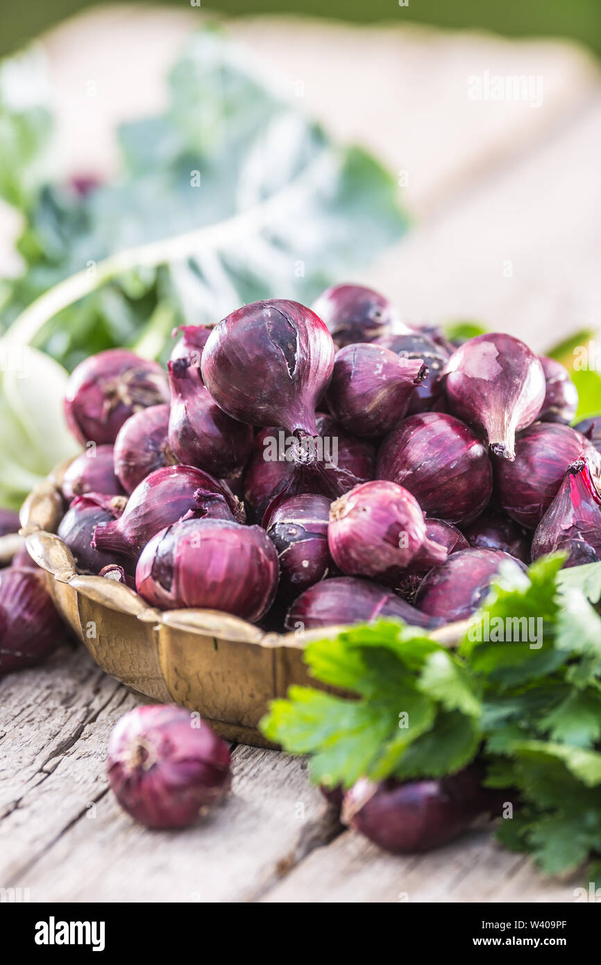 Red onion in bronze bowl on garden table. Close-up fresh healthy vegetable Stock Photo