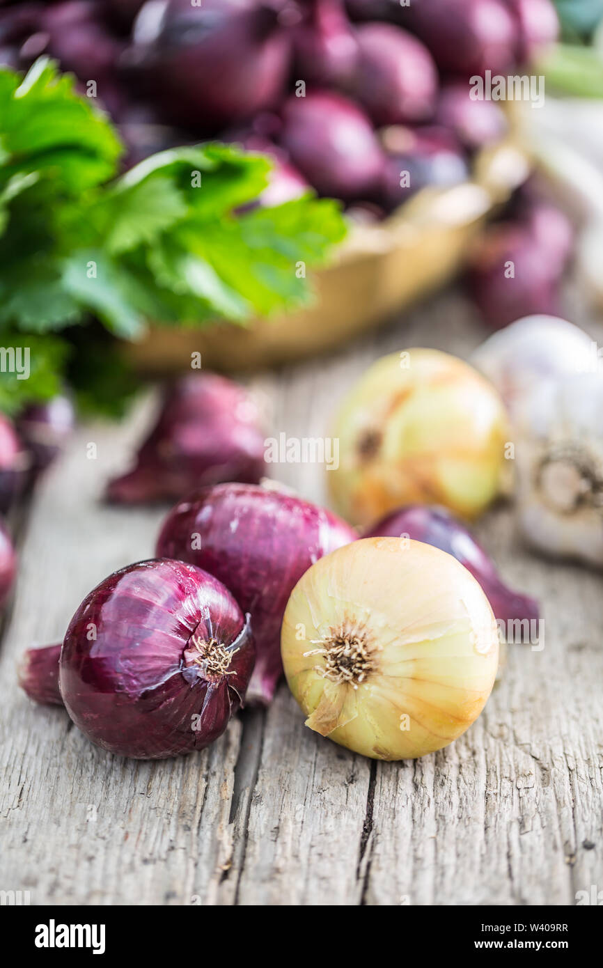 Red onion in bronze bowl garlic celery herbs and kohlrabi on garden table - Top of view. Close-up fresh healthy vegetable Stock Photo