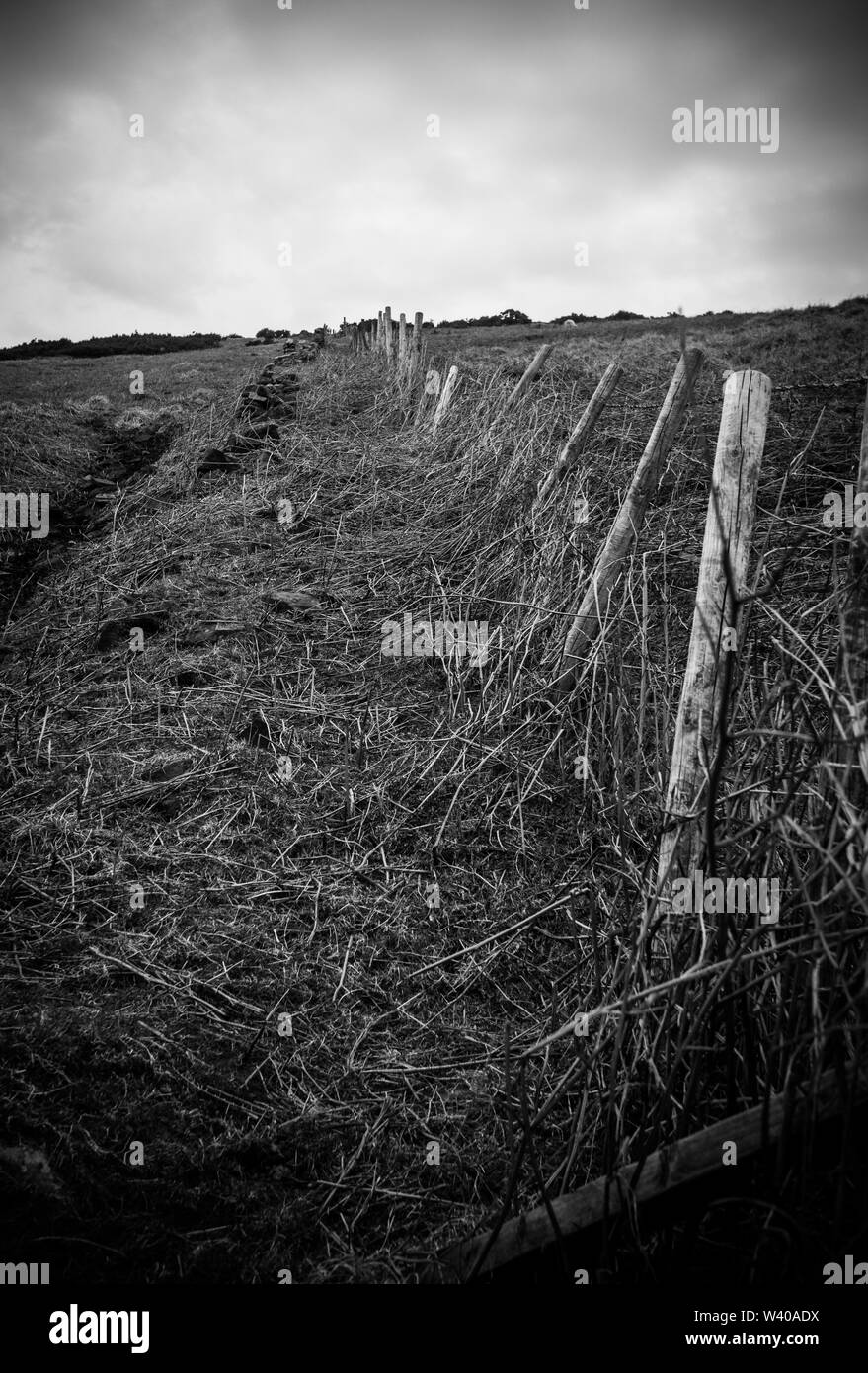 Old fence post barbed wire Black and White Stock Photos & Images - Alamy